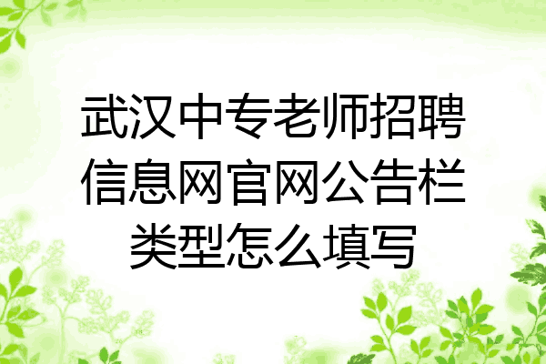 武汉中专老师招聘信息网官网公告栏类型怎么填写