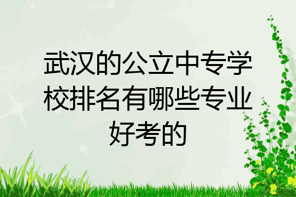 武汉的公立中专学校排名有哪些专业好考的