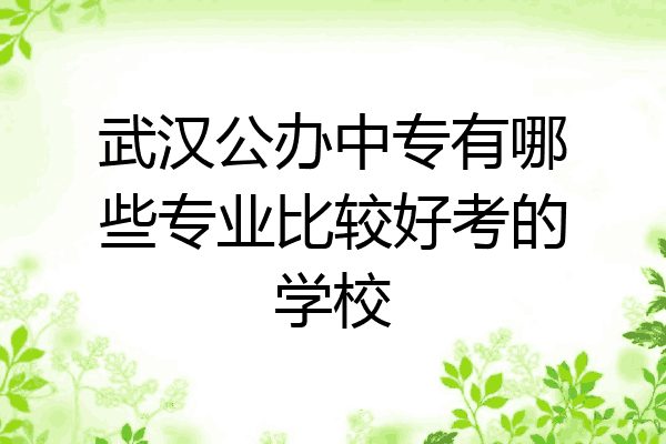 武汉公办中专有哪些专业比较好考的学校