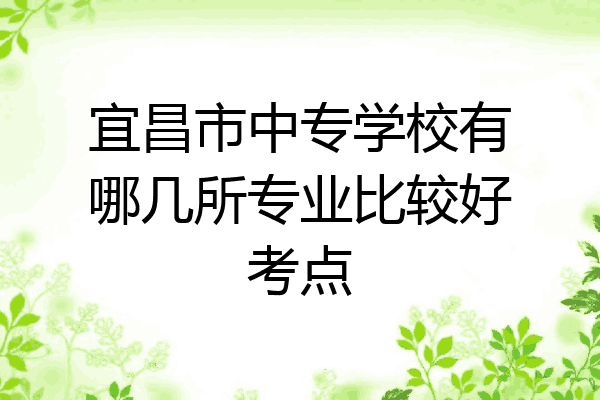 宜昌市中专学校有哪几所专业比较好考点