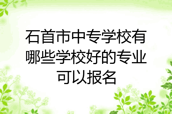石首市中专学校有哪些学校好的专业可以报名