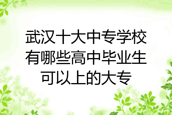 武汉十大中专学校有哪些高中毕业生可以上的大专