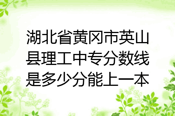 湖北省黄冈市英山县理工中专分数线是多少分能上一本