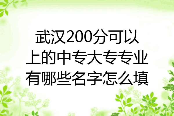 武汉200分可以上的中专大专专业有哪些名字怎么填