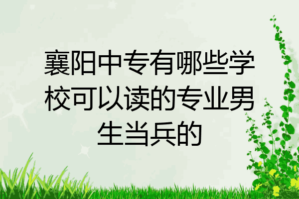 襄阳中专有哪些学校可以读的专业男生当兵的