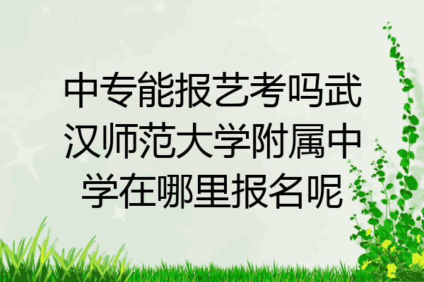 中专能报艺考吗武汉师范大学附属中学在哪里报名呢