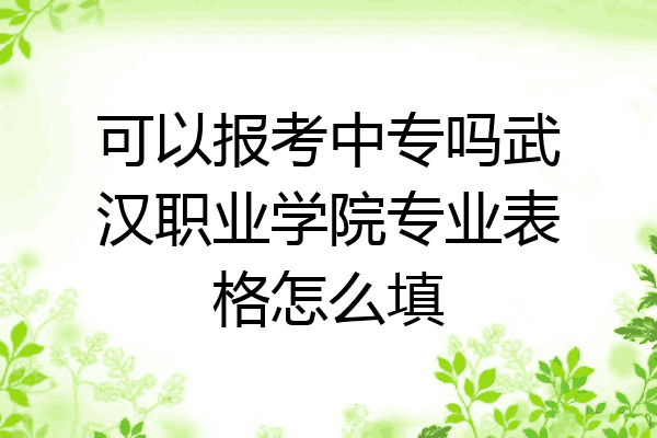 可以报考中专吗武汉职业学院专业表格怎么填