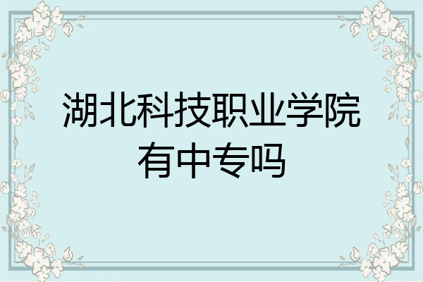 湖北科技职业学院有中专吗