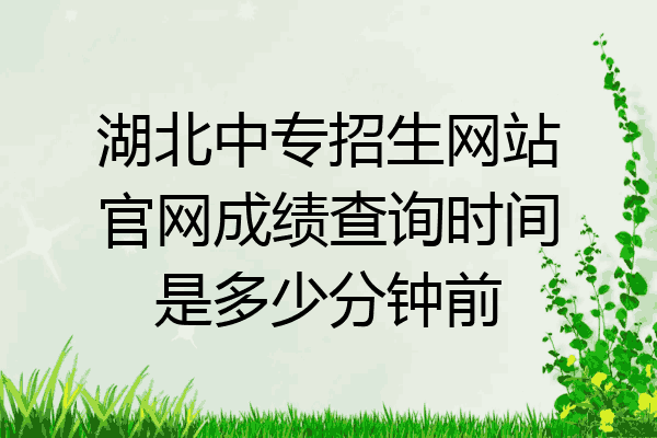 湖北中专招生网站官网成绩查询时间是多少分钟前