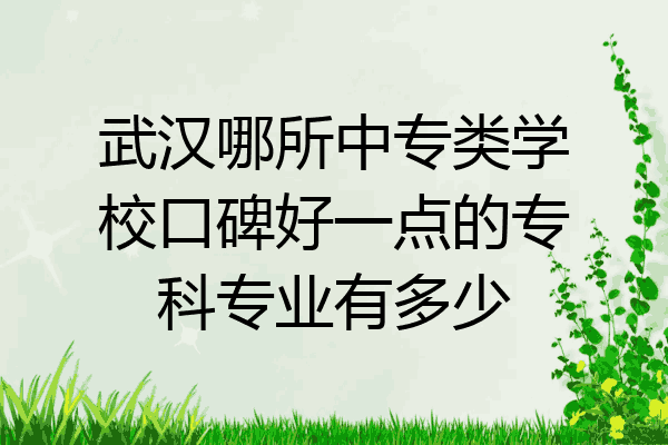 武汉哪所中专类学校口碑好一点的专科专业有多少