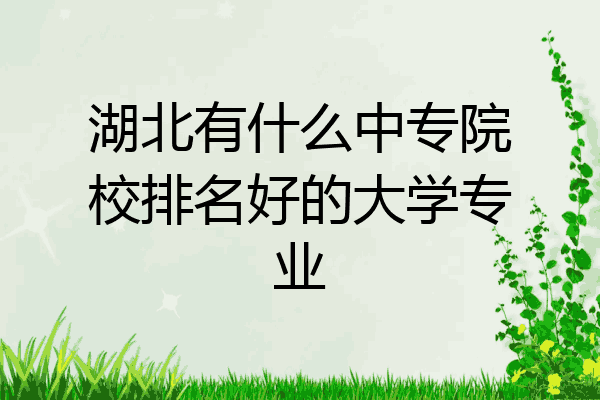 湖北有什么中专院校排名好的大学专业