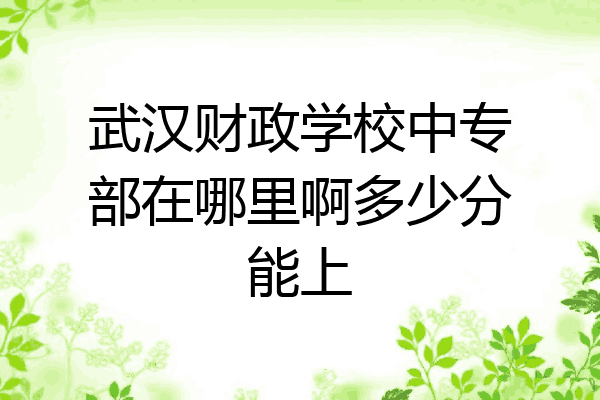 武汉财政学校中专部在哪里啊多少分能上