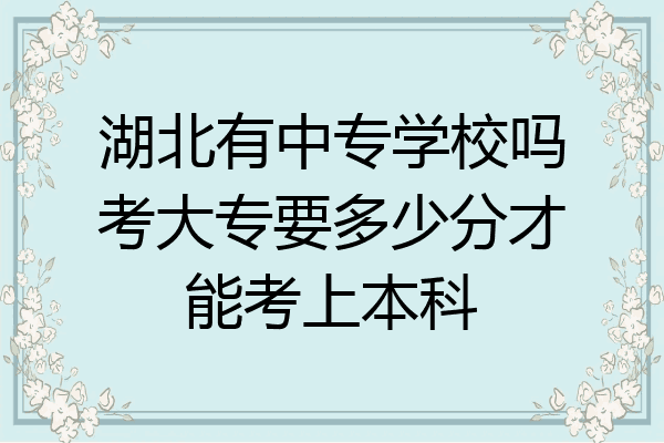 湖北有中专学校吗考大专要多少分才能考上本科