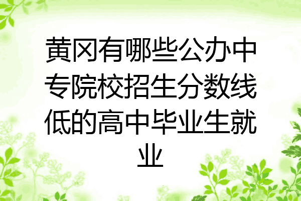 黄冈有哪些公办中专院校招生分数线低的高中毕业生就业