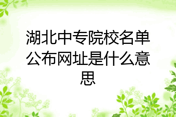 湖北中专院校名单公布网址是什么意思