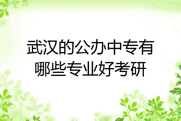 武汉的公办中专有哪些专业好考研