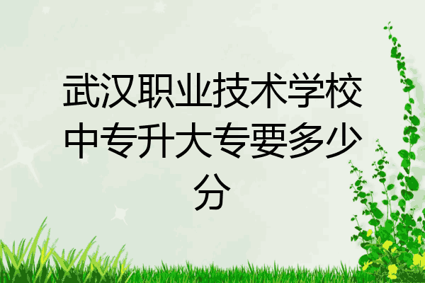 武汉职业技术学校中专升大专要多少分
