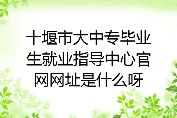 十堰市大中专毕业生就业指导中心官网网址是什么呀