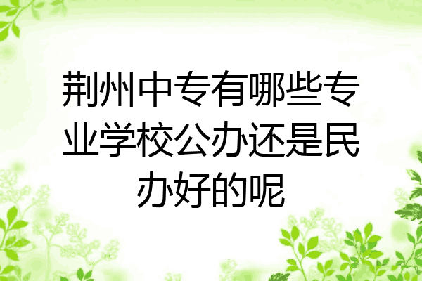 荆州中专有哪些专业学校公办还是民办好的呢