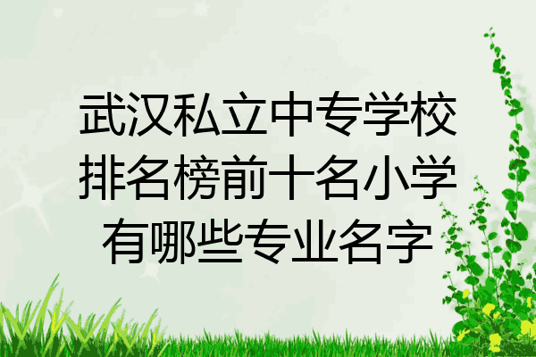武汉私立中专学校排名榜前十名小学有哪些专业名字