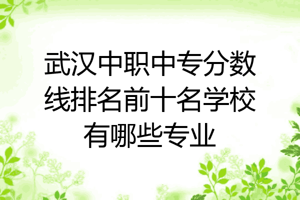 武汉中职中专分数线排名前十名学校有哪些专业