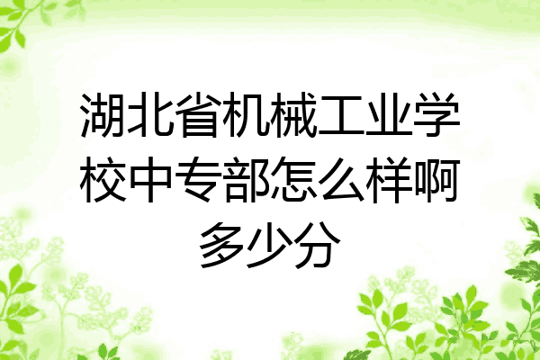 湖北省机械工业学校中专部怎么样啊多少分
