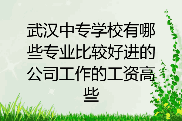 武汉中专学校有哪些专业比较好进的公司工作的工资高些
