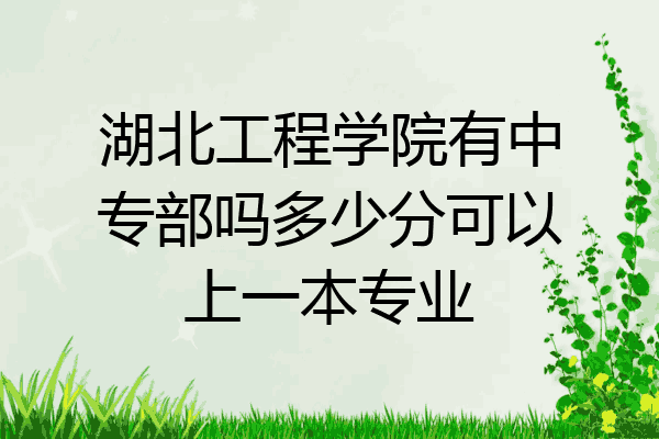 湖北工程学院有中专部吗多少分可以上一本专业