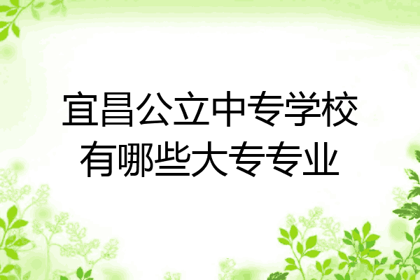 宜昌公立中专学校有哪些大专专业