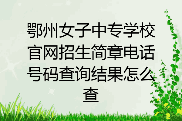 鄂州女子中专学校官网招生简章电话号码查询结果怎么查