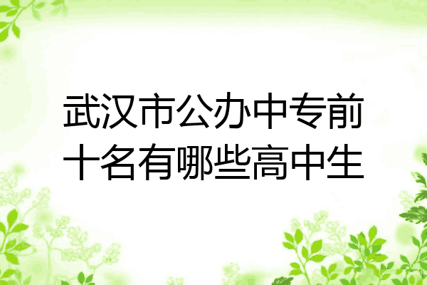 武汉市公办中专前十名有哪些高中生