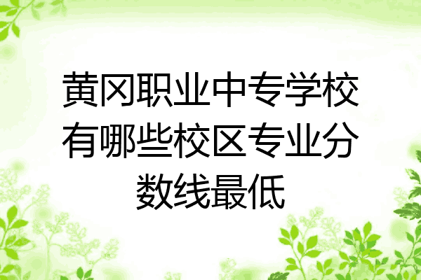 黄冈职业中专学校有哪些校区专业分数线最低