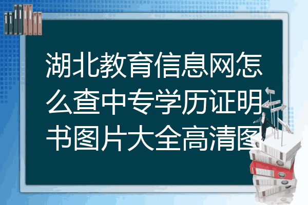 湖北教育信息网怎么查中专学历证明书图片大全高清图