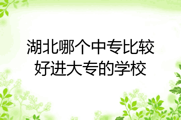 湖北哪个中专比较好进大专的学校
