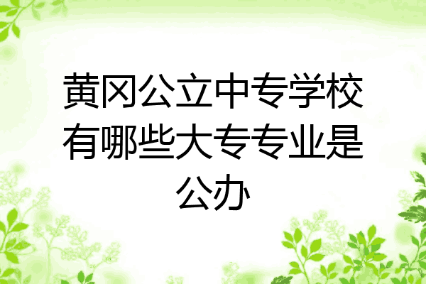 黄冈公立中专学校有哪些大专专业是公办