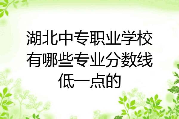 湖北中专职业学校有哪些专业分数线低一点的