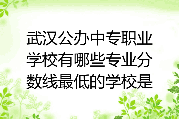 武汉公办中专职业学校有哪些专业分数线最低的学校是