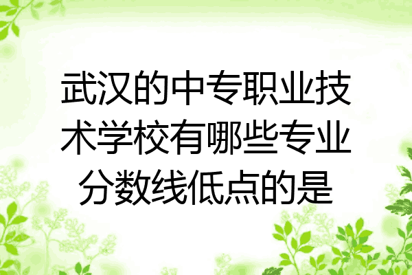 武汉的中专职业技术学校有哪些专业分数线低点的是