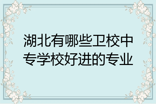 湖北有哪些卫校中专学校好进的专业