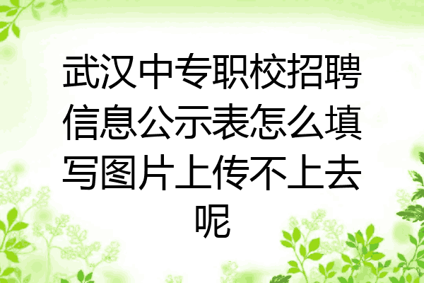 武汉中专职校招聘信息公示表怎么填写图片上传不上去呢