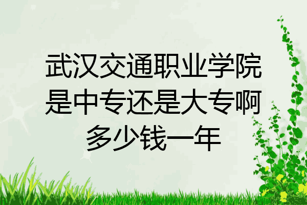 武汉交通职业学院是中专还是大专啊多少钱一年
