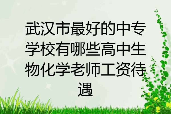 武汉市最好的中专学校有哪些高中生物化学老师工资待遇