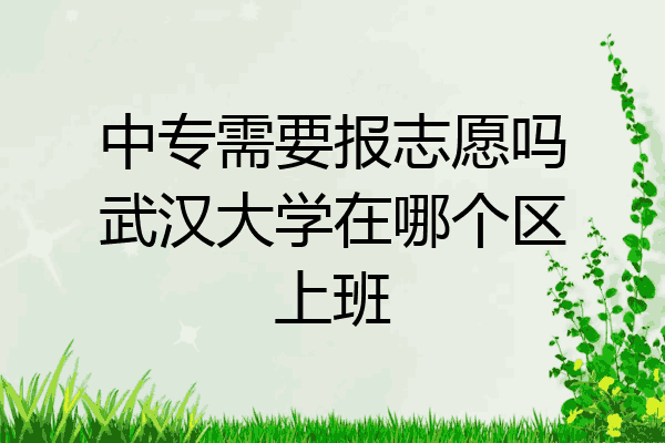 中专需要报志愿吗武汉大学在哪个区上班