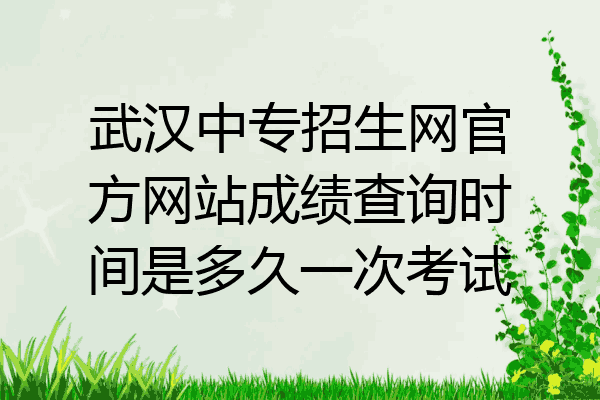 武汉中专招生网官方网站成绩查询时间是多久一次考试