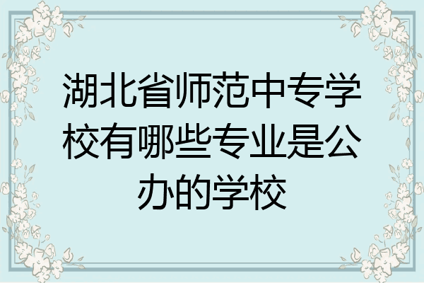 湖北省师范中专学校有哪些专业是公办的学校