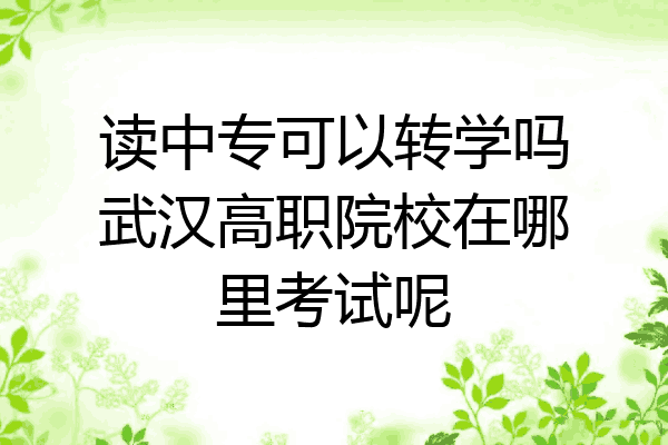 读中专可以转学吗武汉高职院校在哪里考试呢