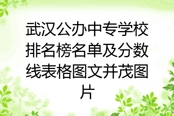 武汉公办中专学校排名榜名单及分数线表格图文并茂图片