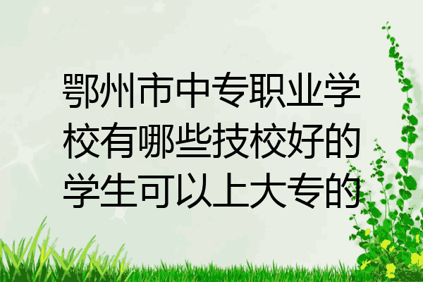 鄂州市中专职业学校有哪些技校好的学生可以上大专的