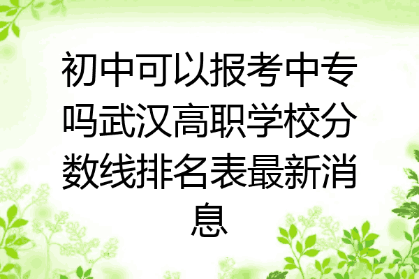 初中可以报考中专吗武汉高职学校分数线排名表最新消息