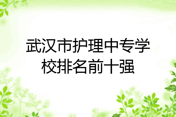 武汉市护理中专学校排名前十强